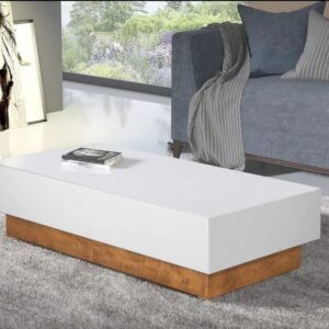 MESA DE CENTRO ORION